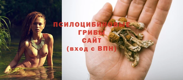 первитин Кулебаки