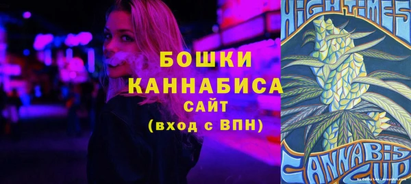 МДПВ Костерёво