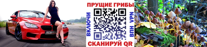 Галлюциногенные грибы Psilocybine cubensis  Липки 